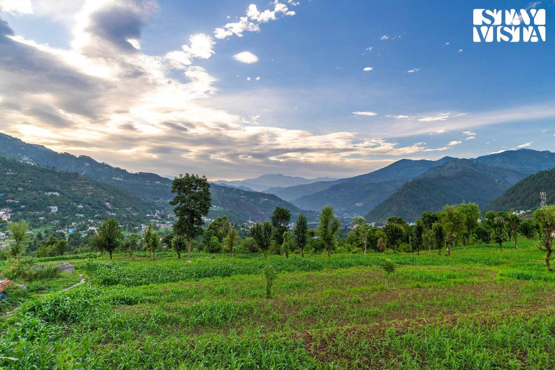 Stayvista At The Oakridge 4 Bhk Villa In Dharamshala With Jacuzzi & Balcony Chamba  Esterno foto